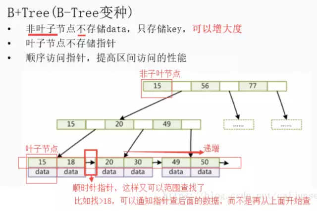 B+树